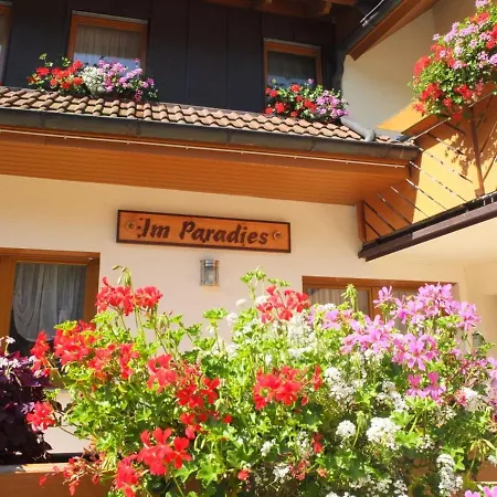 Paradies Im Schwarzwald Bad Peterstal-Griesbach