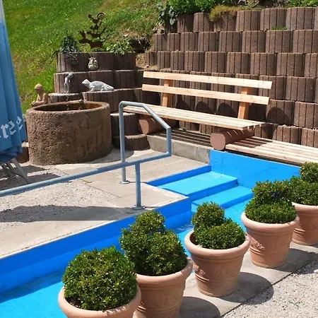 Paradies Im Schwarzwald Apartment