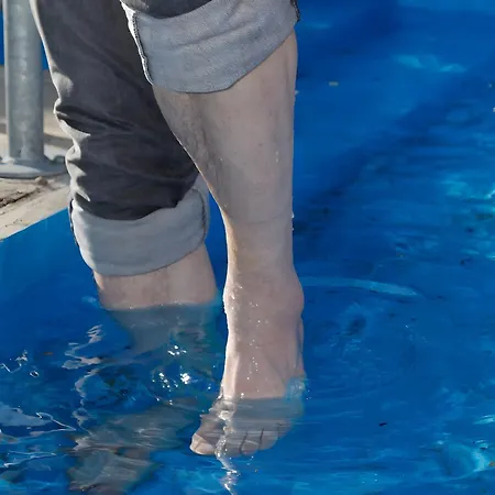 Lejlighed Paradies Im Schwarzwald Bad Peterstal-Griesbach