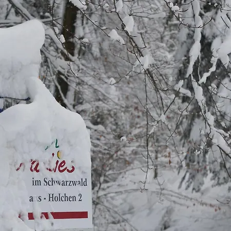 Paradies Im Schwarzwald