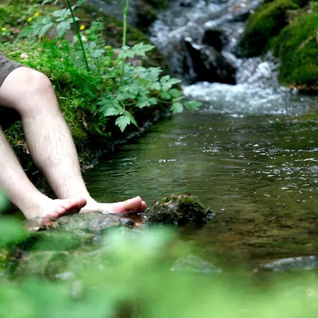 Lejlighed Paradies Im Schwarzwald *
