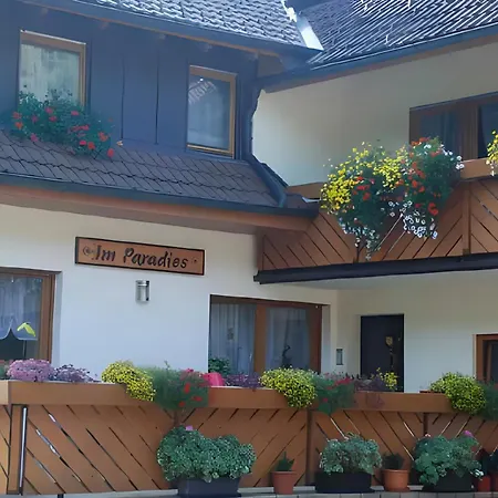 Paradies Im Schwarzwald Daire Bad Peterstal-Griesbach