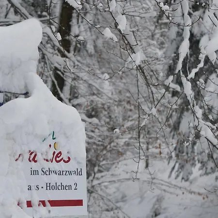 Paradies Im Schwarzwald Apartman