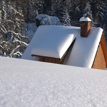 Apartman Paradies Im Schwarzwald Bad Peterstal-Griesbach